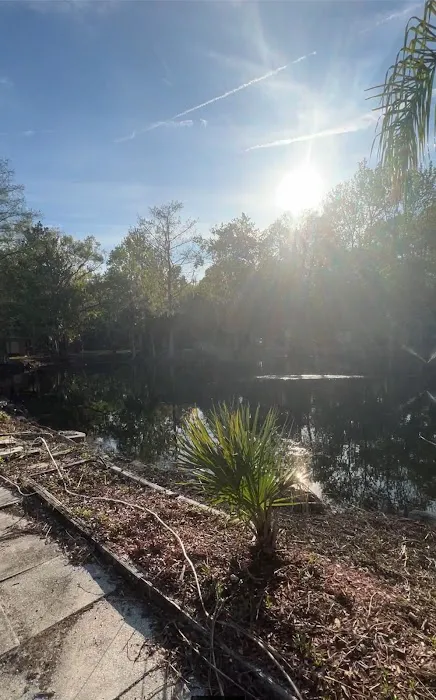 The Oaks Inverness RV Park Picture 6