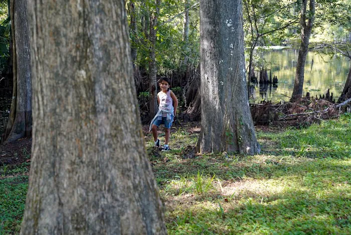 55+ Wynnhaven on the Withlacoochee LLC Picture 3