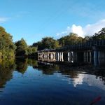 55+ Wynnhaven on the Withlacoochee LLC