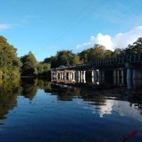 55+ Wynnhaven on the Withlacoochee LLC ico