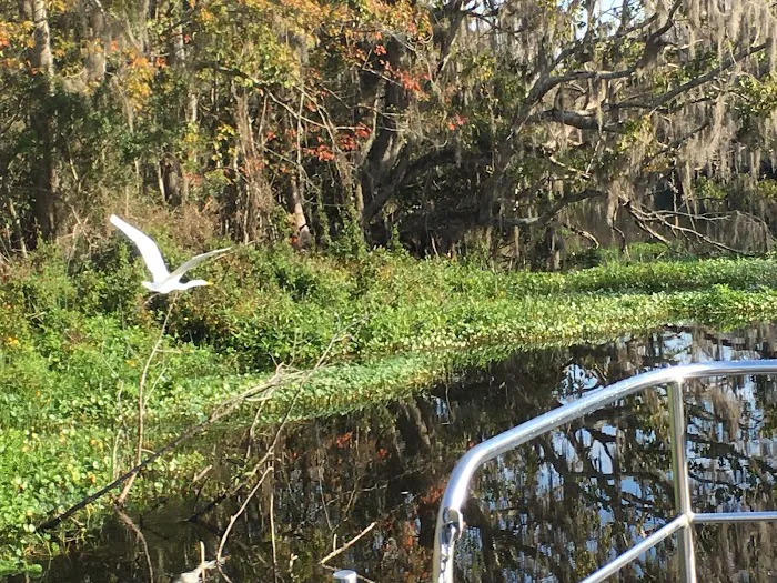55+ Wynnhaven on the Withlacoochee LLC Picture 8