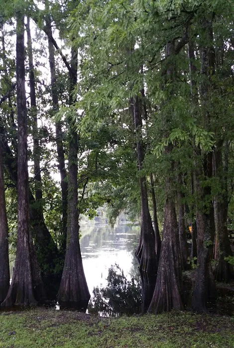 Riverside RV Park Picture 4