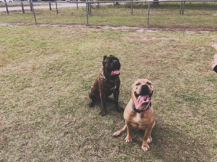 Lake Panasoffkee RV and Campground Picture 5