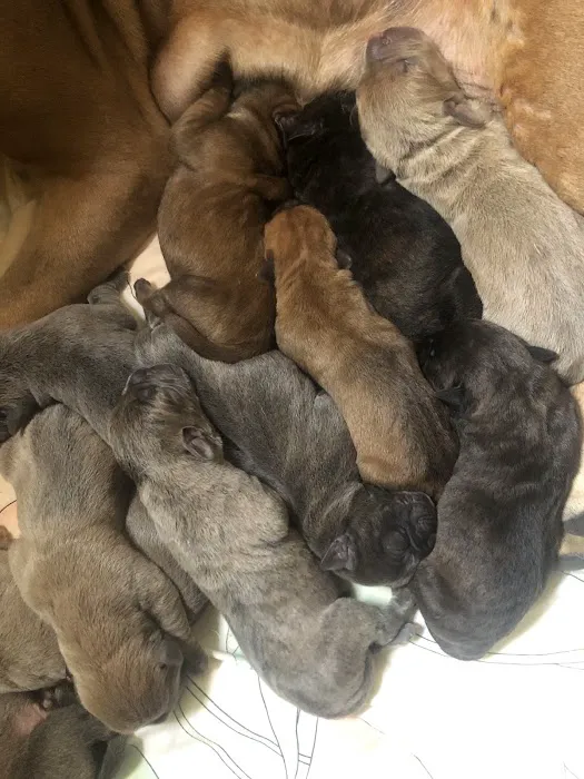 Lake Panasoffkee RV and Campground Picture 6