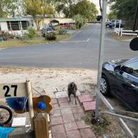 Better Times RV Park ico