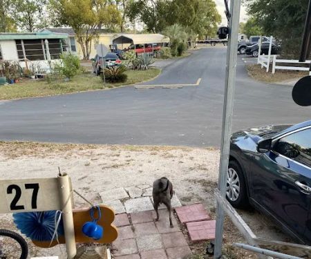 Better Times RV Park