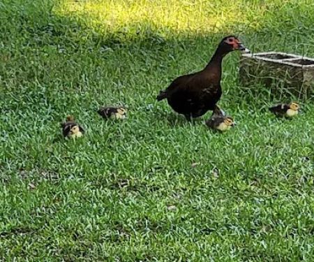 Three Seasons Mobile Home Park