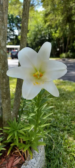 Three Seasons Mobile Home Park Picture 4