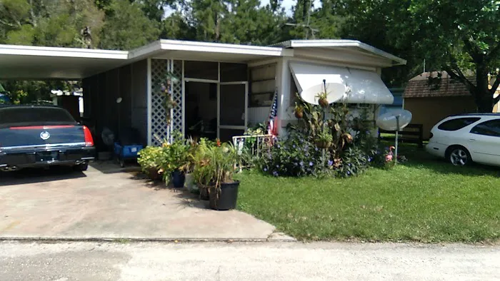 Big Tree Properties LLC Picture 3
