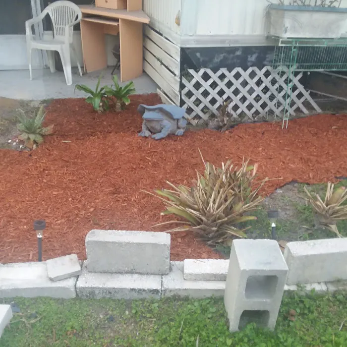 Big Tree Properties LLC Picture 5