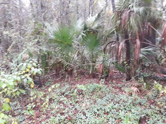 Big Tree Properties LLC Picture 9