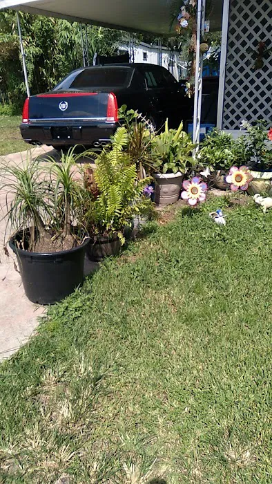 Big Tree Properties LLC Picture 7