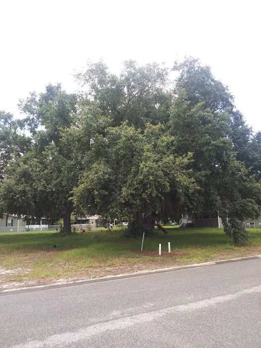 Meadows of Astatula Picture 2