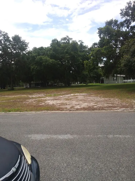 Meadows of Astatula Picture 4