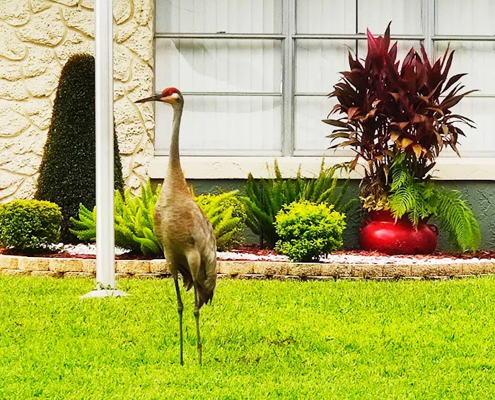 Audubon Village Picture 5