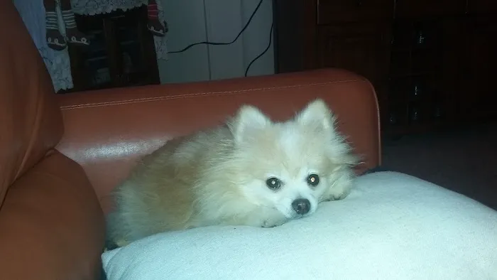 Magnolia Estates of Central Picture 4