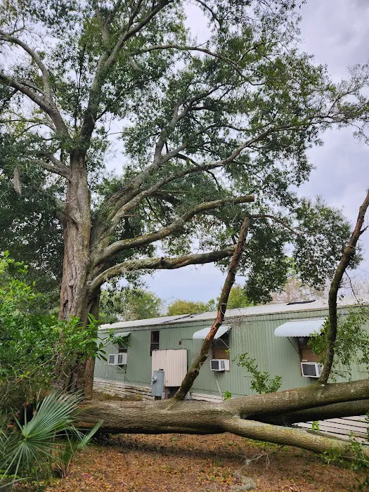 The Groves Picture 5