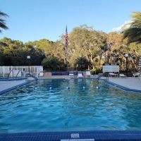 The Forest Club Inc ico