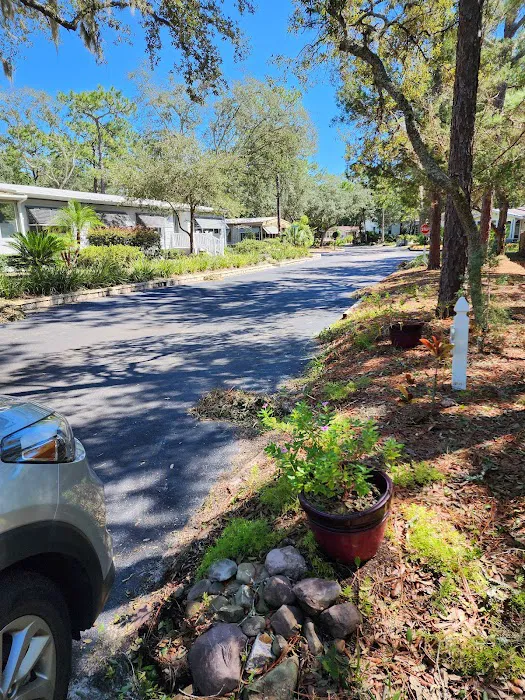 The Forest Club Inc Picture 5