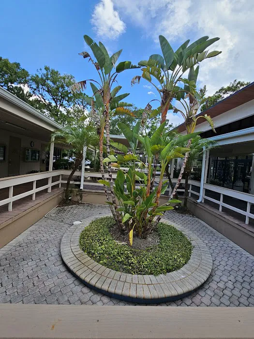 The Forest Club Inc Picture 7