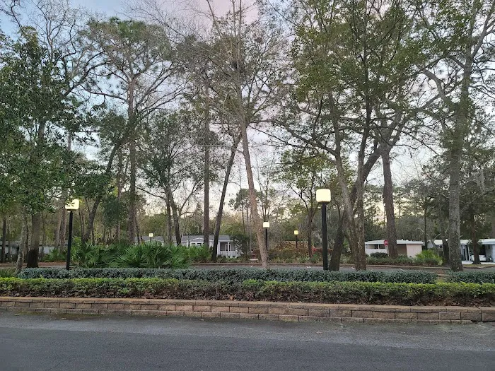 The Forest Club Inc Picture 9