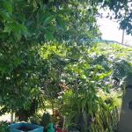 Park Avenue Mobile Park