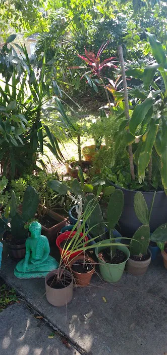 Park Avenue Mobile Park Picture 6