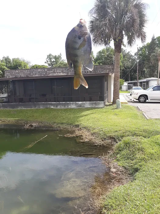 Bedrock Eldorado Estates Picture 2