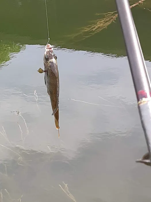 Bedrock Eldorado Estates Picture 4