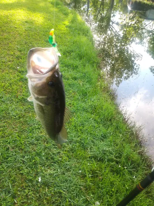 Bedrock Eldorado Estates Picture 5