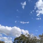 Wildwood Acres 55+ Manufactured Home Community