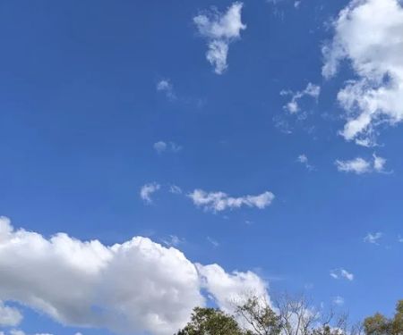 Wildwood Acres 55+ Manufactured Home Community