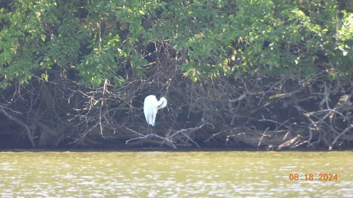 Crab Orchard Lake Manufactured Home Community Picture 4