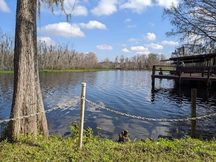 Lake Pan RV Village Picture 4