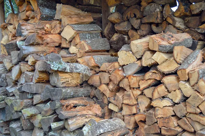 Breezy Oaks RV Park Picture 7