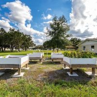 Paradise Oaks RV Resort ico