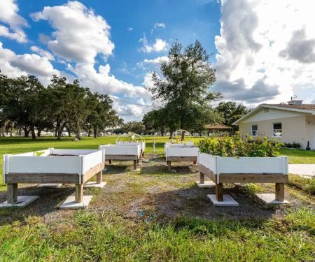 Paradise Oaks RV Resort