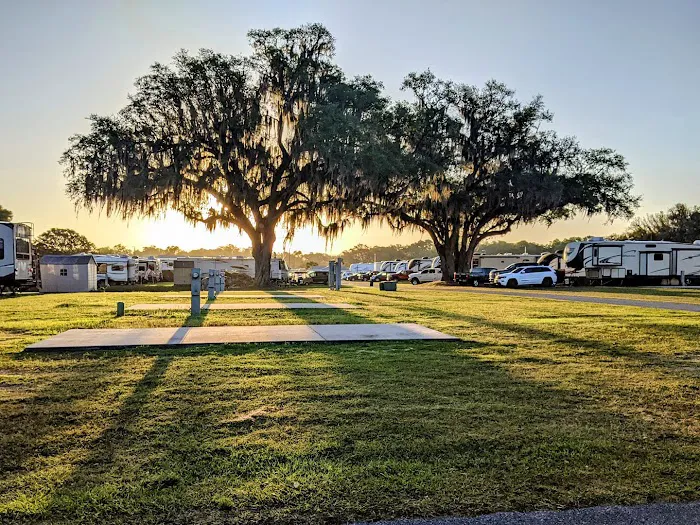 Paradise Oaks RV Resort Picture 3