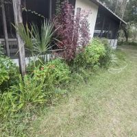 Florilow Oaks ico