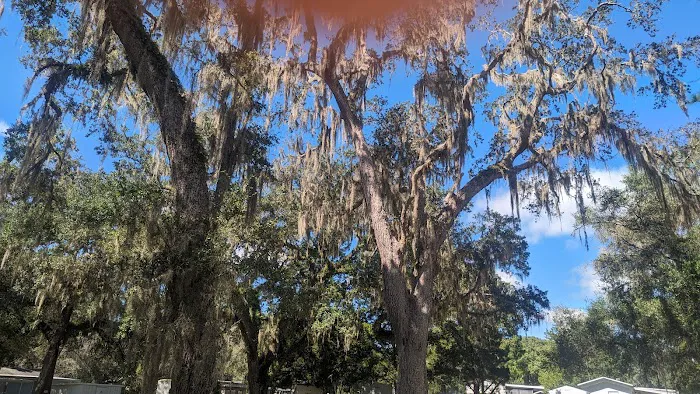 Florilow Oaks Picture 8