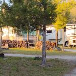 Sumter Oaks - Escapees RV Parks