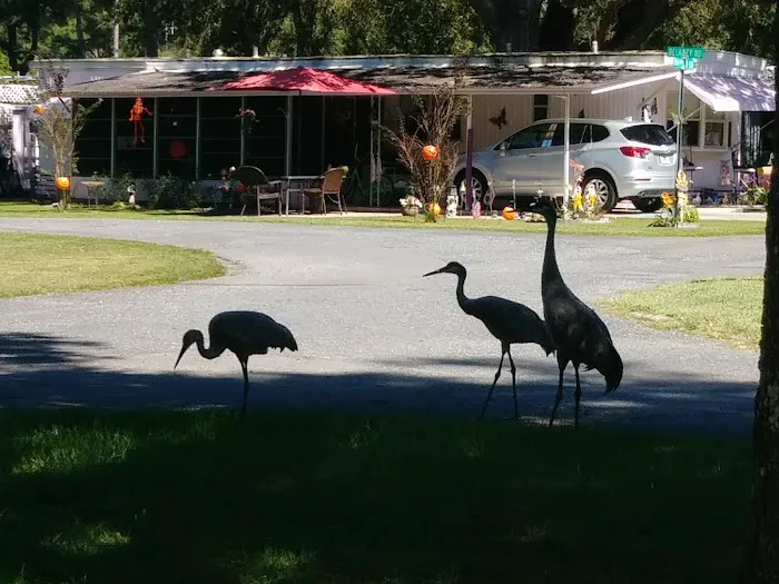 Imperial Estates Mobile Home Picture 7