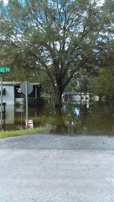 Imperial Estates Mobile Home Picture 5