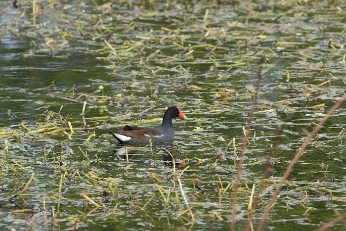 River Oaks MHP Picture 2