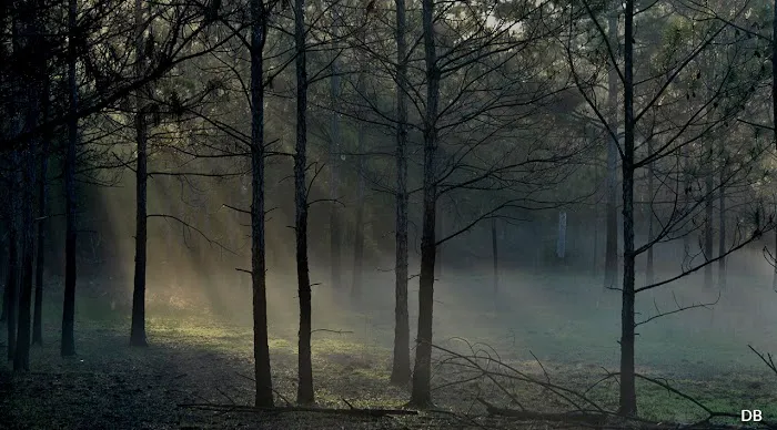 Camper's Holiday Picture 7