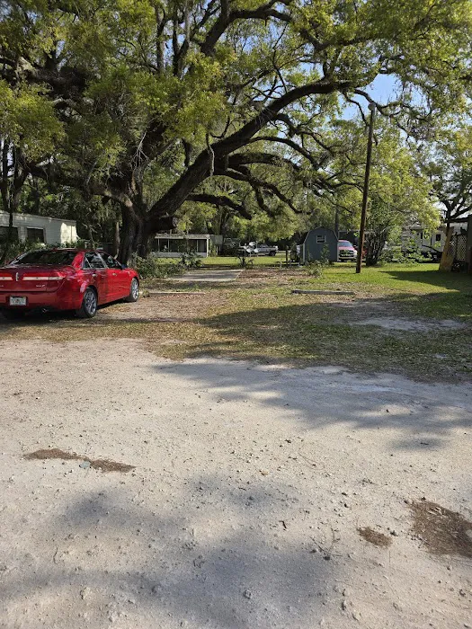 Tall Pines RV Park Picture 3
