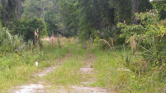 CHIEF ARIPEKA TRAVEL PARK Picture 4