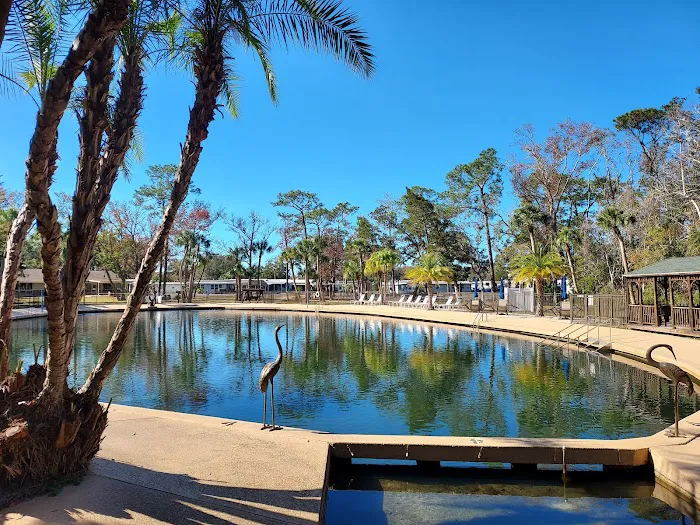 Holiday Springs RV Resort Picture 2