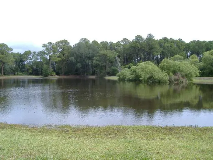 Bee's RV Resort Picture 8