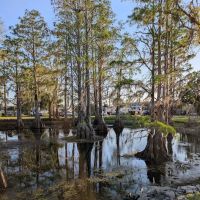 RV RESORT PARK ico